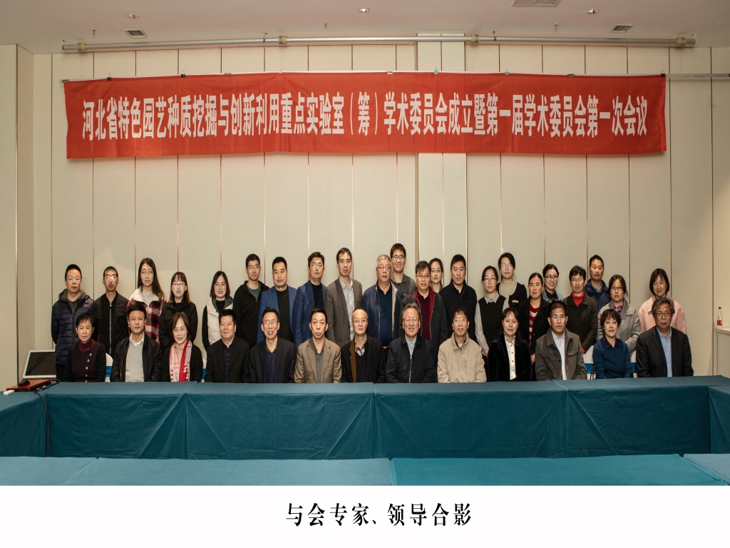 合影副本 合影副本