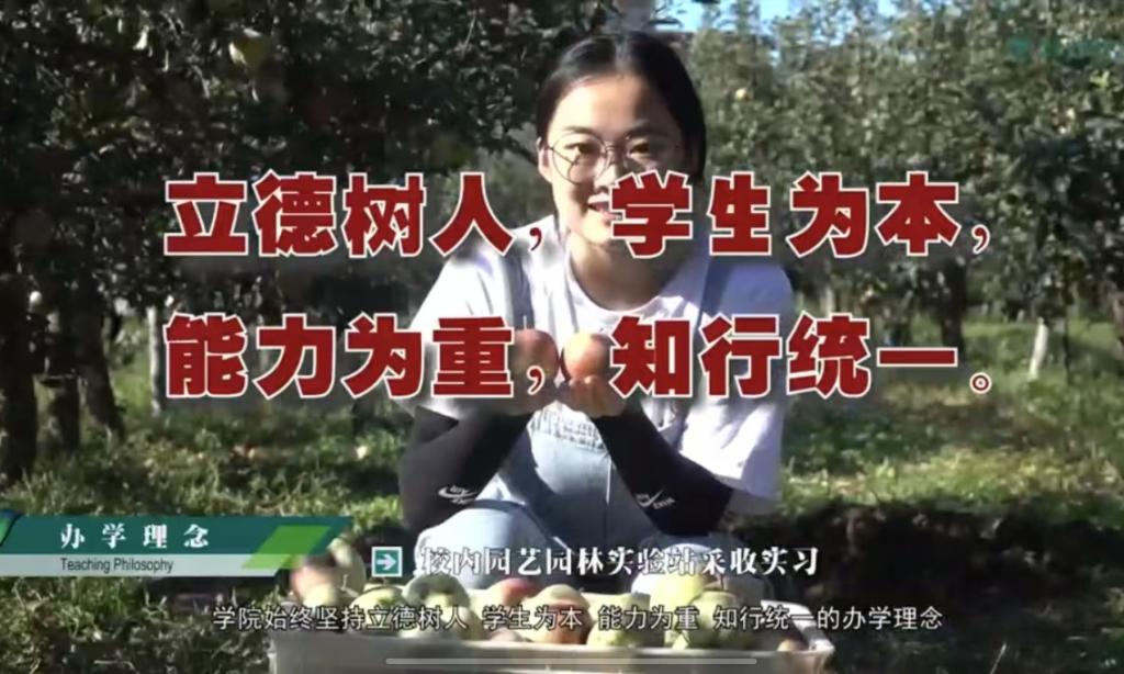 PA捕鱼官方网站宣传片